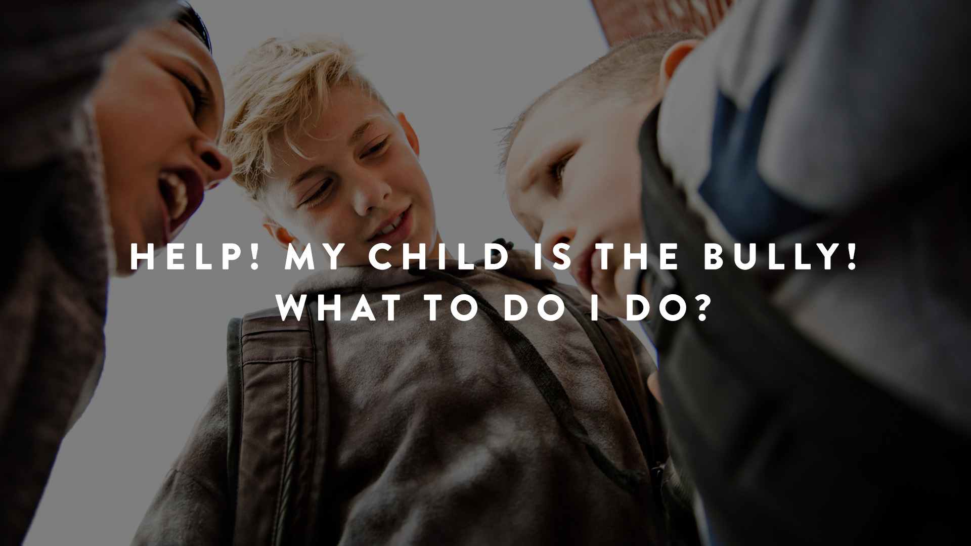 Help! My child is the bully! What do I do?